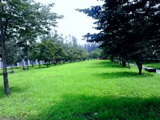 宝鑫景苑小区绿化工程