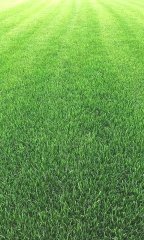 宝坻区塑料工业园污水处