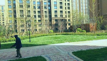 滨海新区心贻湾小区绿化