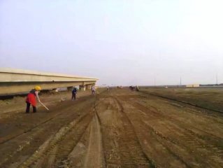 滨海新区整理绿化用地