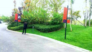 京津新城绿化工程