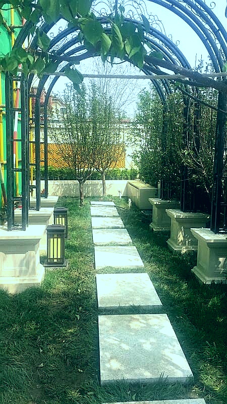 津南中海公园城法式样板