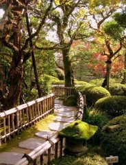 植物配置如何做？